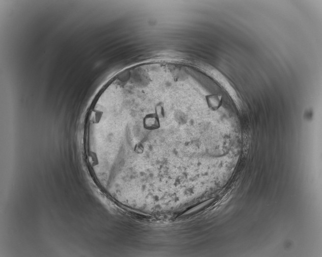 X0000097591099200803211630