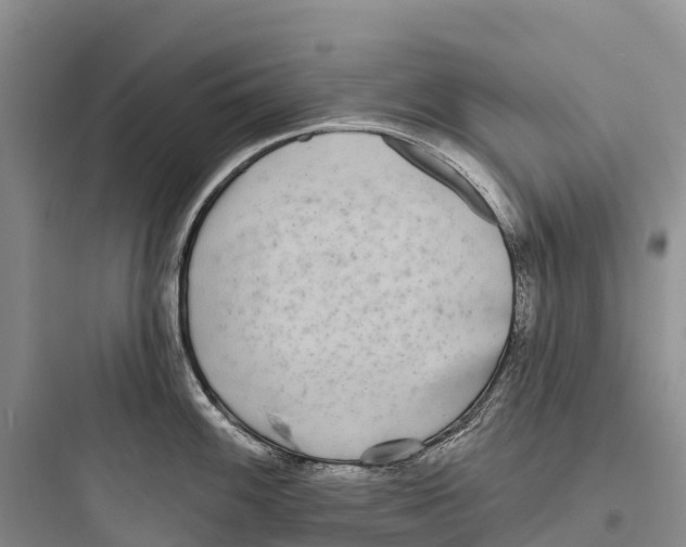 X0000097591100200803211630