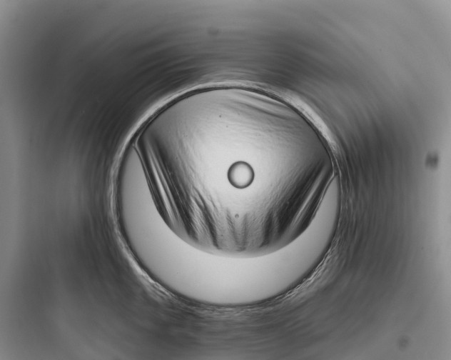 X0000097591101200803211630