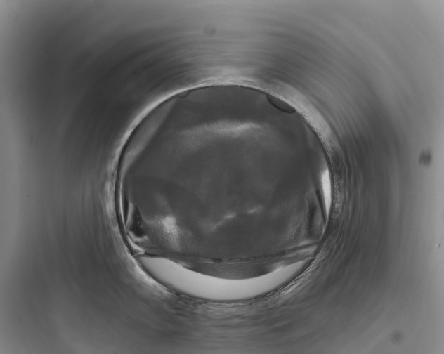 X0000097591102200803211630