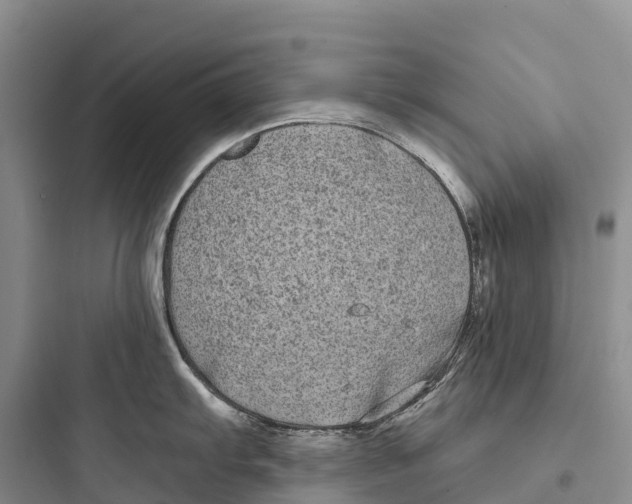 X0000097591103200803211630