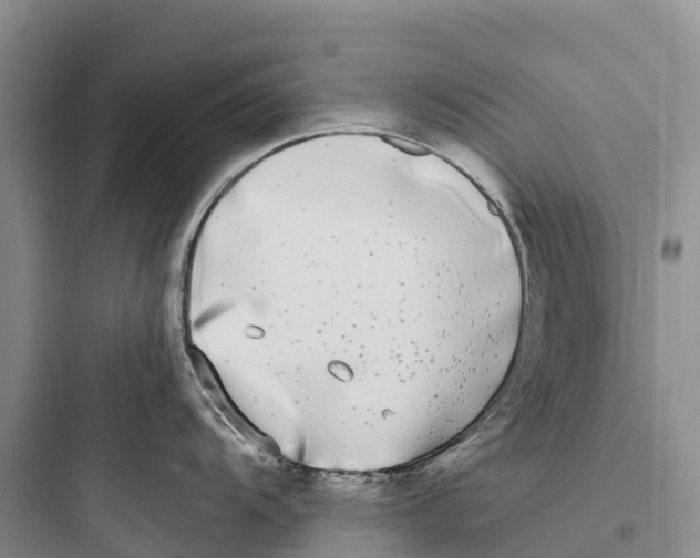 X0000097591104200803211630