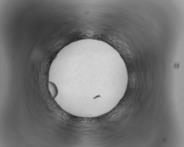 X0000097591105200803211630