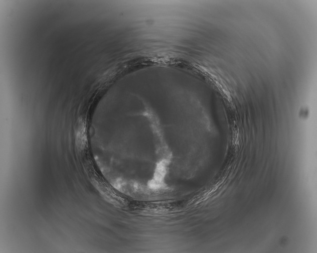 X0000097591106200803211630