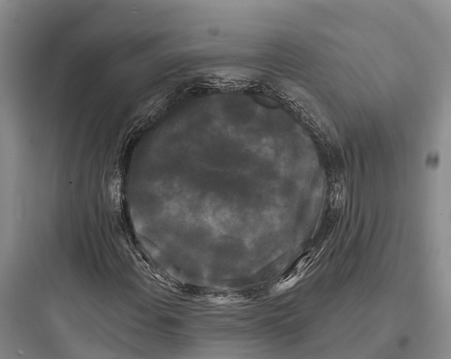 X0000097591108200803211630