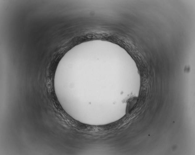 X0000097591109200803211630