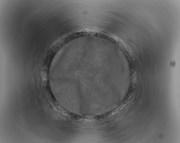 X0000097591110200803211630