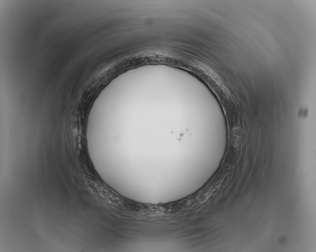 X0000097591111200803211630