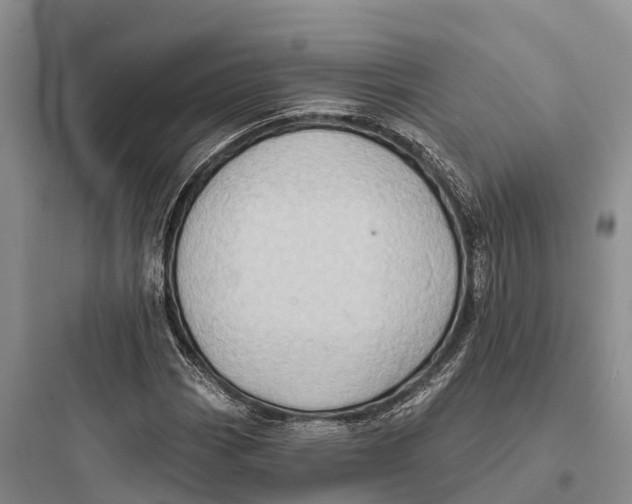 X0000097591113200803211630