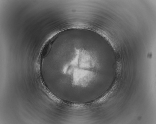 X0000097591114200803211630