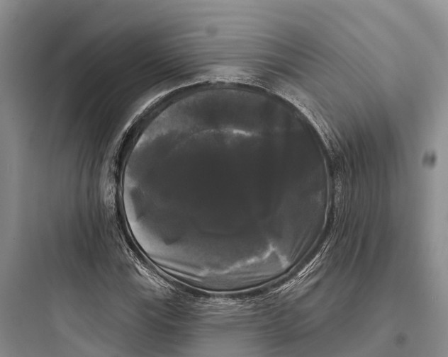 X0000097591115200803211630