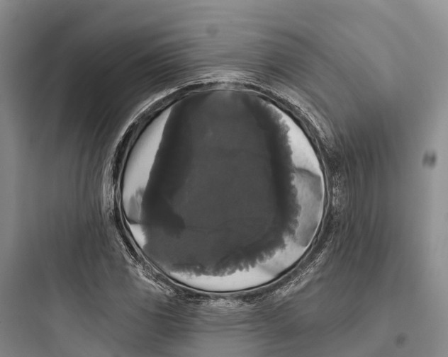 X0000097591117200803211630