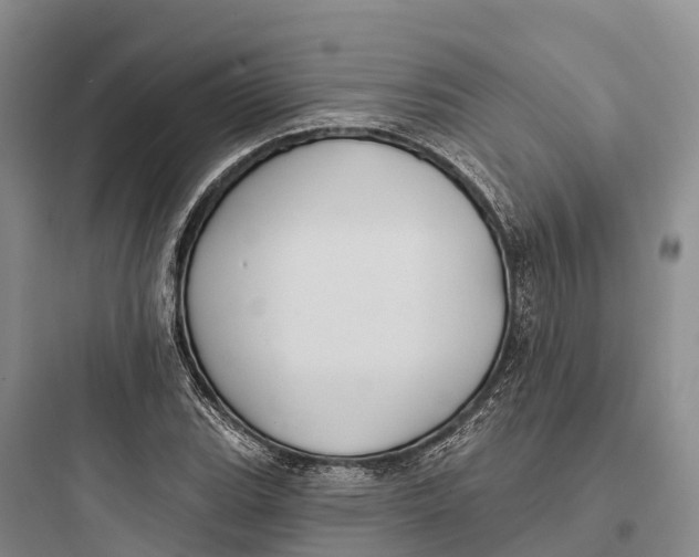 X0000097591119200803211630