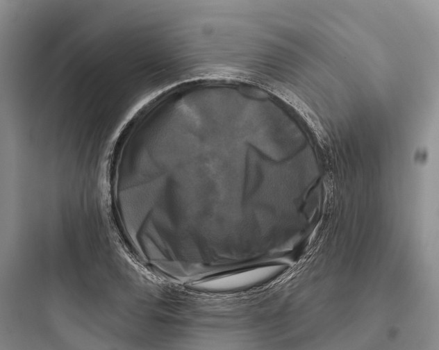 X0000097591120200803211630