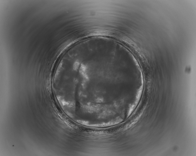 X0000097591121200803211630