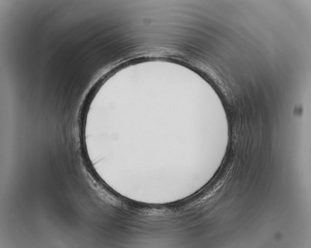 X0000097591122200803211630