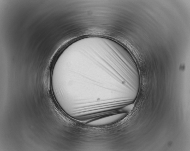 X0000097591123200803211630