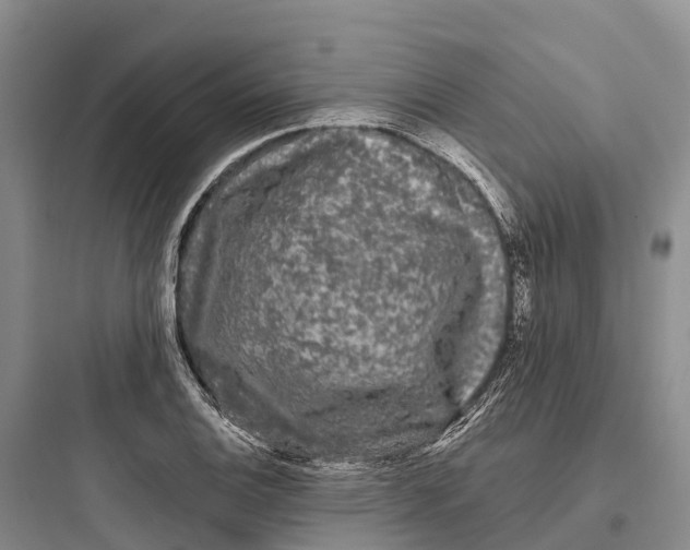 X0000097591124200803211630