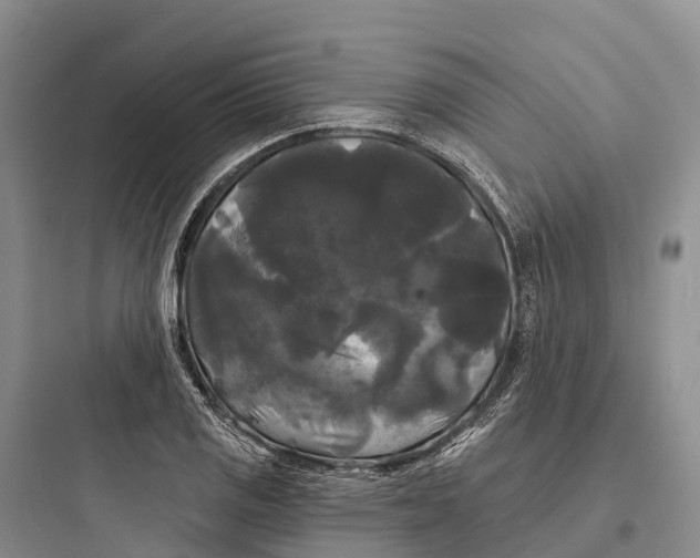 X0000097591125200803211630