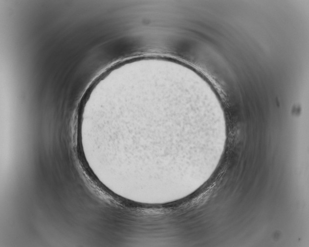 X0000097591126200803211630