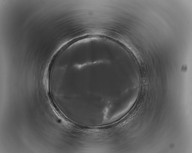 X0000097591127200803211630