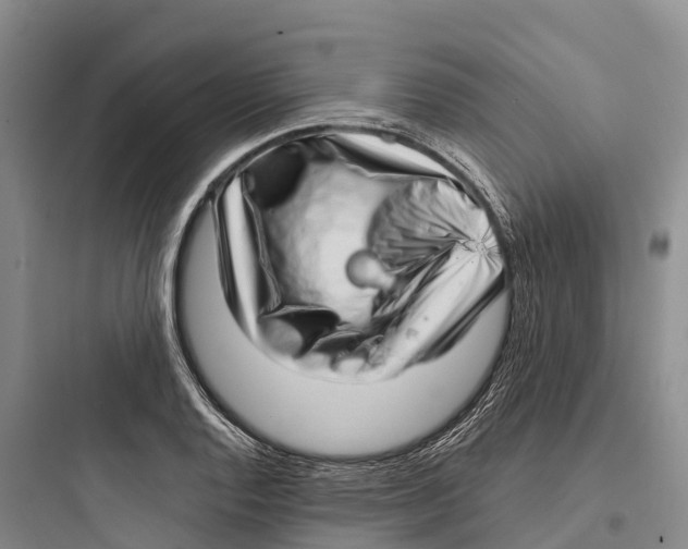 X0000097591128200803211630