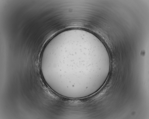 X0000097591129200803211630