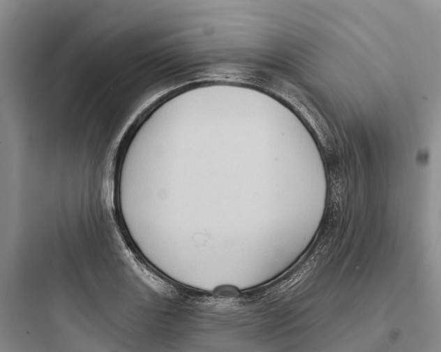 X0000097591131200803211630