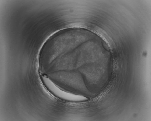 X0000097591132200803211630