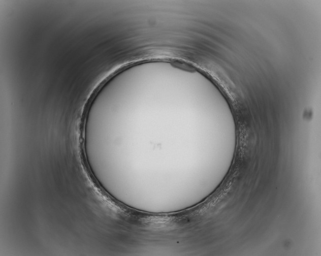 X0000097591134200803211630