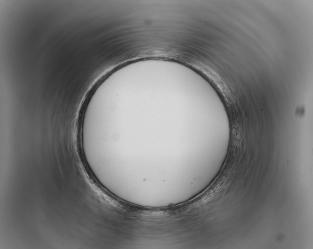 X0000097591135200803211630