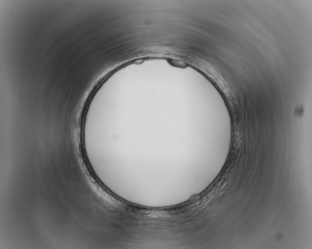 X0000097591136200803211630