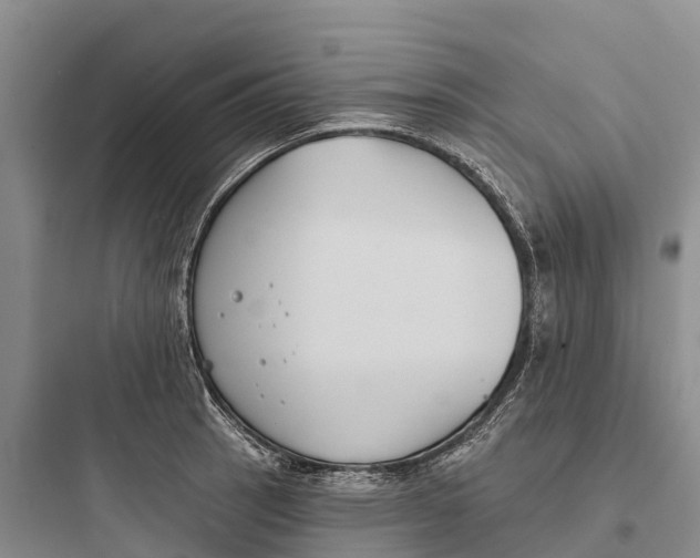 X0000097591137200803211630