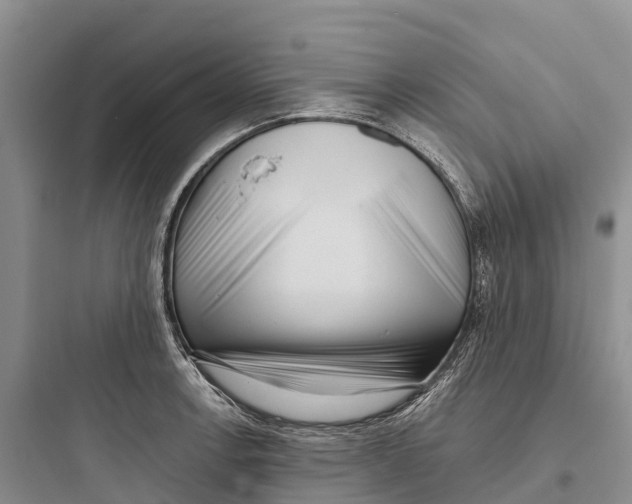 X0000097591138200803211630