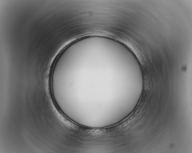 X0000097591139200803211630