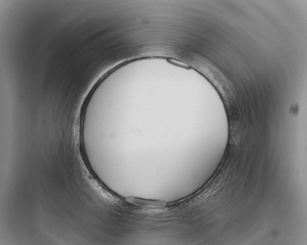 X0000097591140200803211630