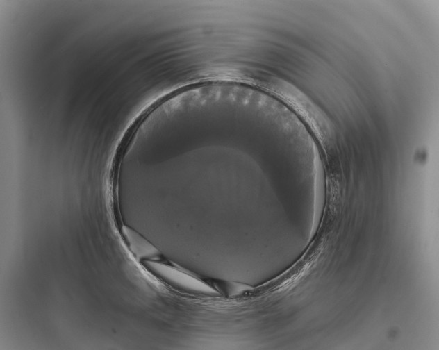 X0000097591141200803211630