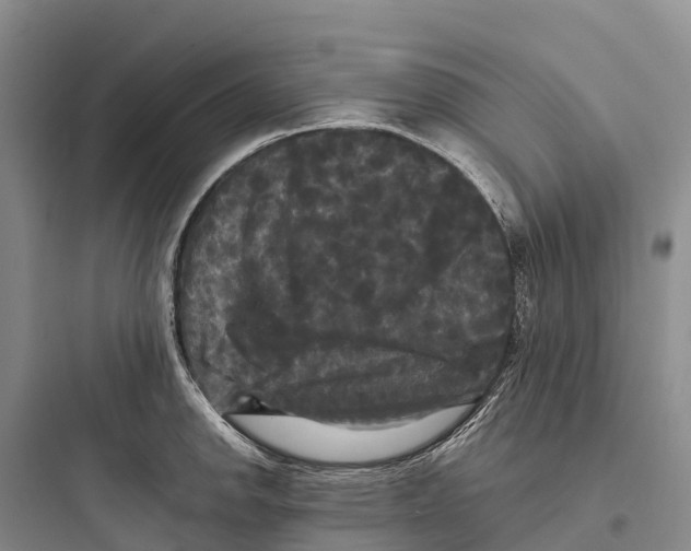 X0000097591142200803211630