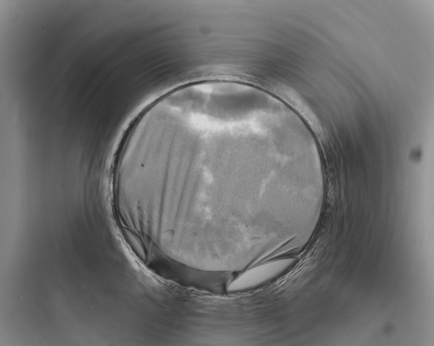 X0000097591144200803211630