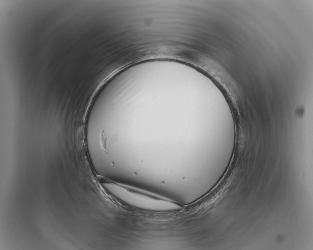 X0000097591145200803211630