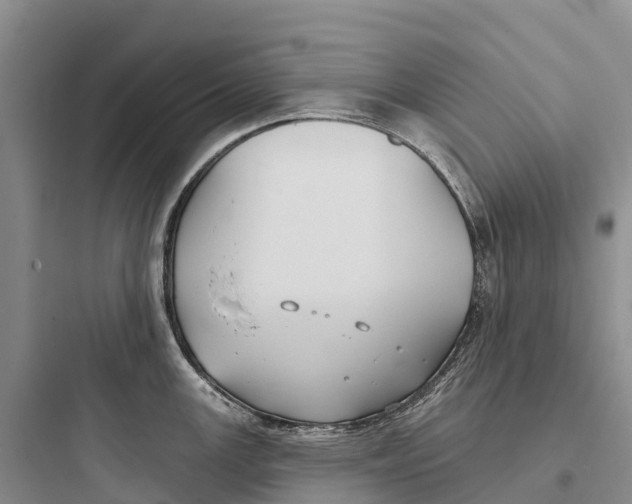 X0000097591147200803211630