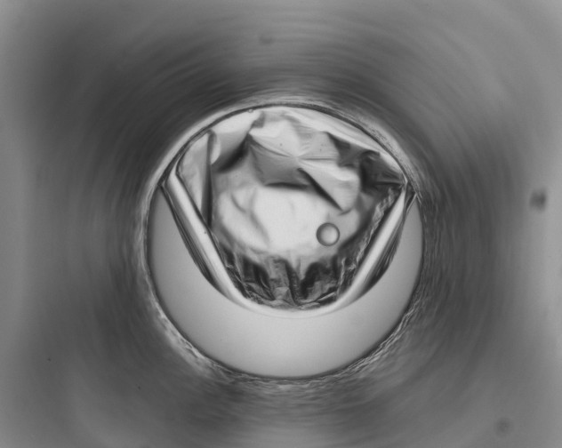 X0000097591148200803211630