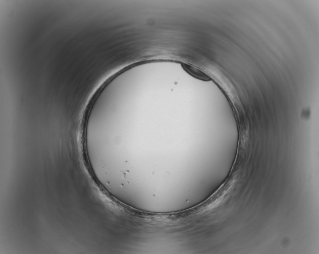 X0000097591149200803211630