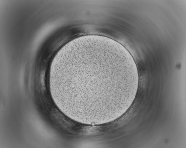 X0000097591150200803211630