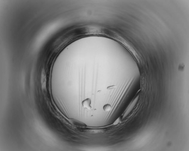 X0000097591151200803211630