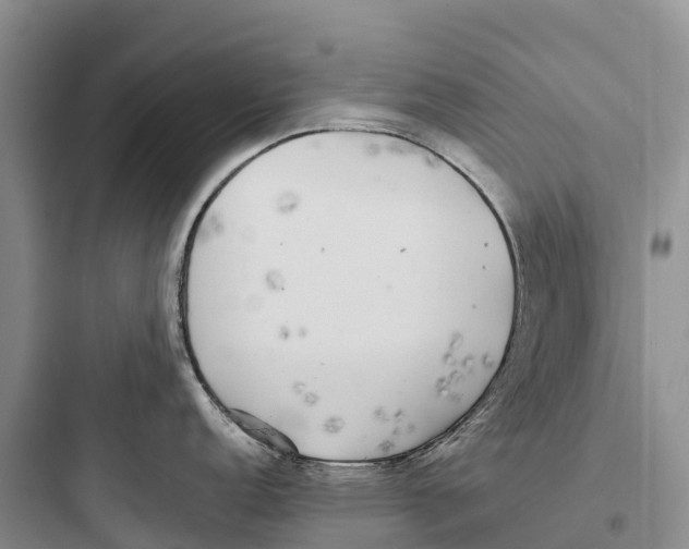 X0000097591152200803211630