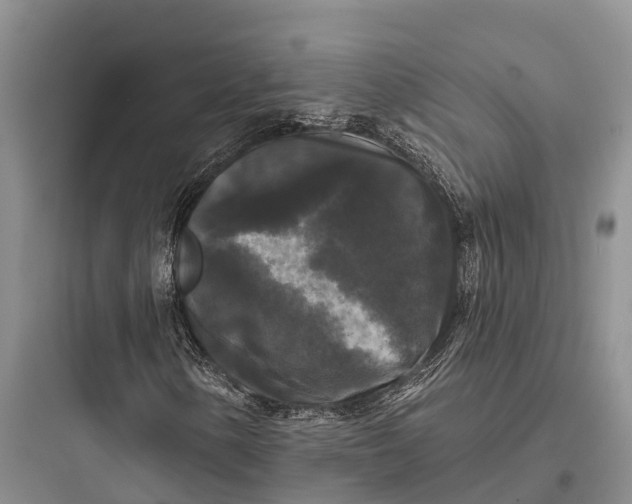 X0000097591154200803211630