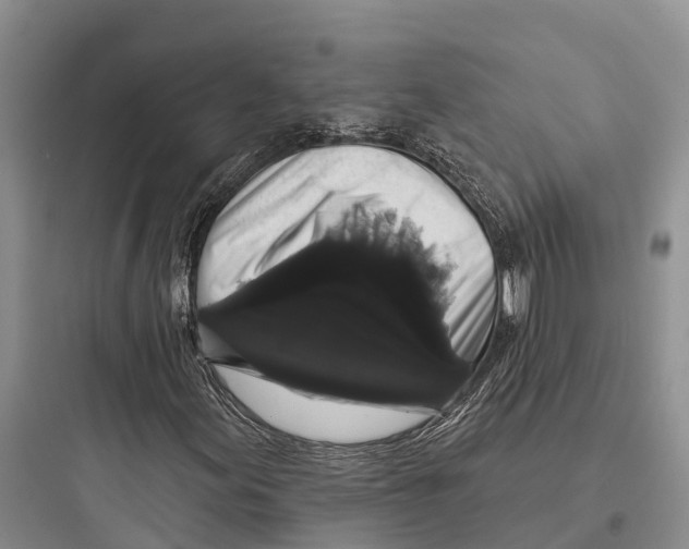 X0000097591155200803211630