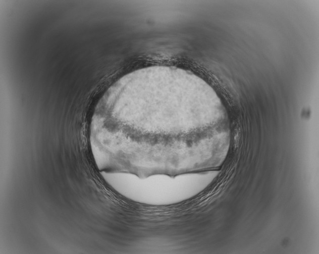 X0000097591156200803211630