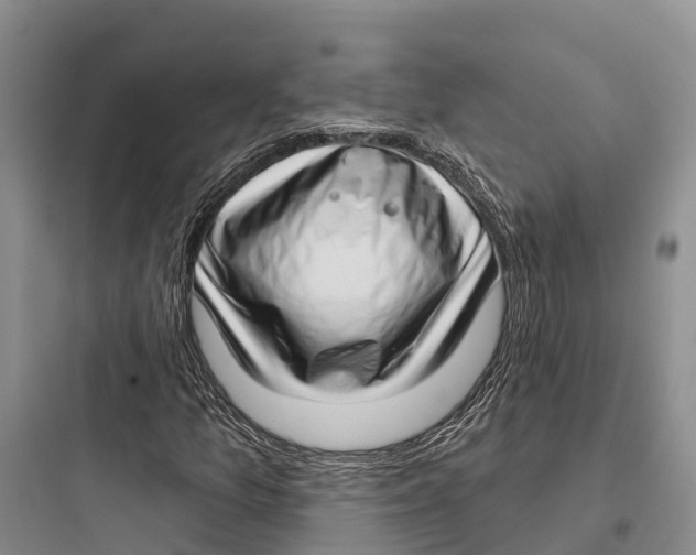 X0000097591157200803211630